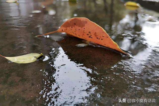 一场秋雨过后，一夜之间，这座城市就凉了许多