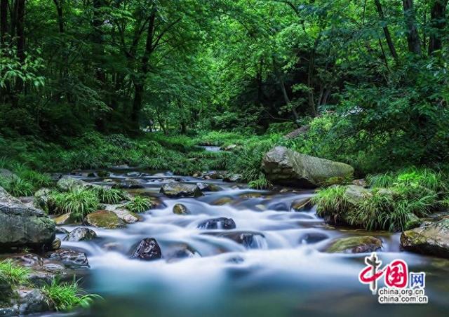 武陵源：清凉经济持续升温 避暑游成消费新引擎
