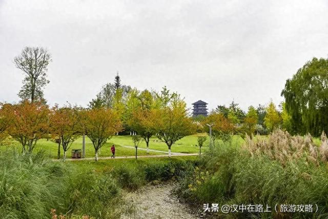 汉中湿地公园的秋已上线，随手拍都是治愈感！
