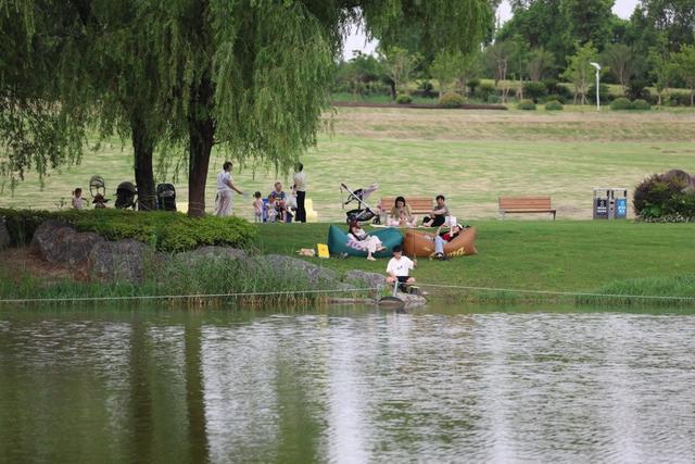 场面｜立秋非入秋，酷暑依旧，太阳落山公园绿地迎来消暑的人群