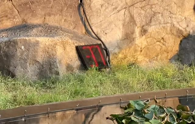 拍照限时1分钟，还设倒计时装置，浙江一网红景点引热议，有人赞公平，有人觉得像考试