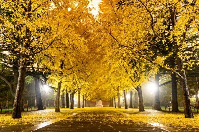 优化快捷支付（你的福气账户余额不足三招教你快速充值）