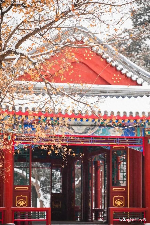 大兴初雪倒计时！5个宝藏赏雪点位，提前收藏——