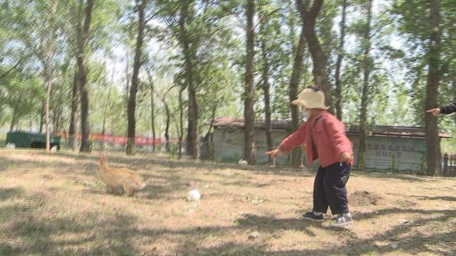 悠然家乡，蓝天白云，青山绿水，自然之美无处不在。请到大美盘山来（第588篇）