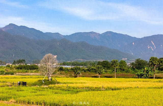 来清远三禾·稻里，住进油画里，每张照片都可以当屏保