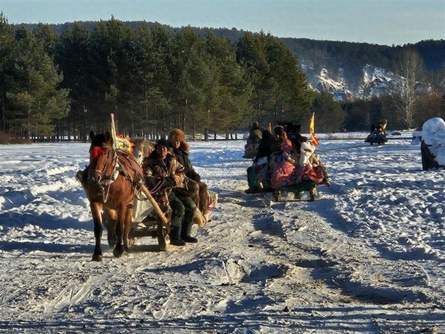 实探漠河北极村马爬犁：百余匹骏马轮流上岗，旅游旺季一天营业近10小时