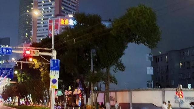 济南泉城广场附近有“恐龙树”？不少人专程来打卡！“还有爪子，细节拉满”