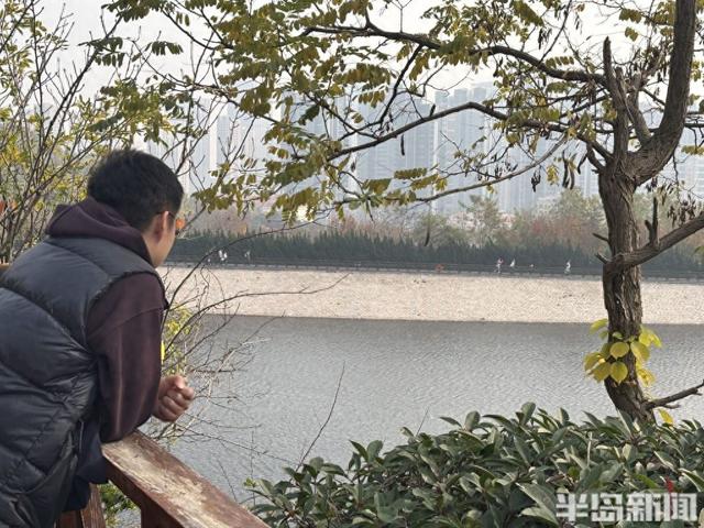 浮山南麓，藏着青岛最美冬日