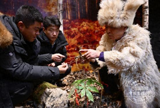 文化中国行｜吉林长白山人参栽培系统藏着三城的传承“心法”