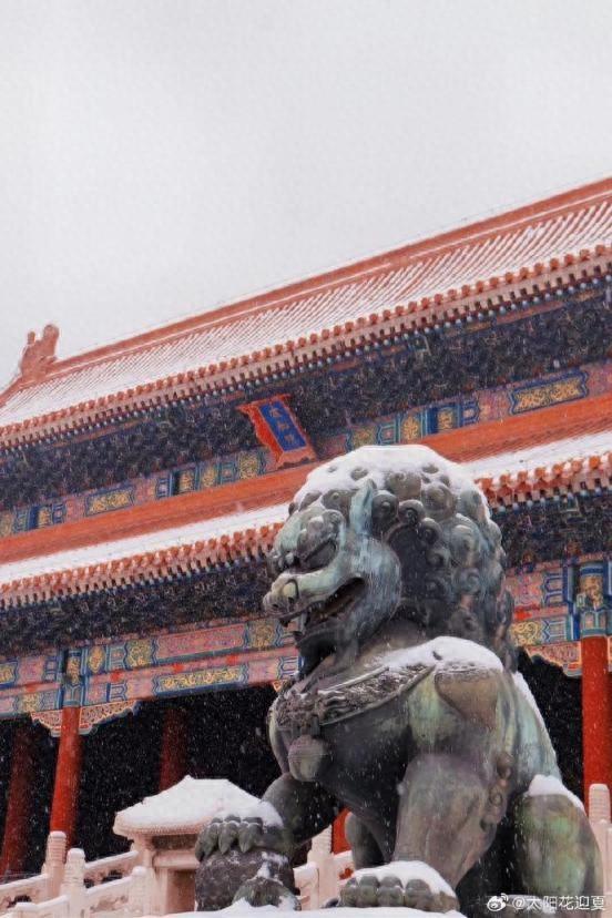 2026年北京的首场雪有多美？一起来“云赏雪”