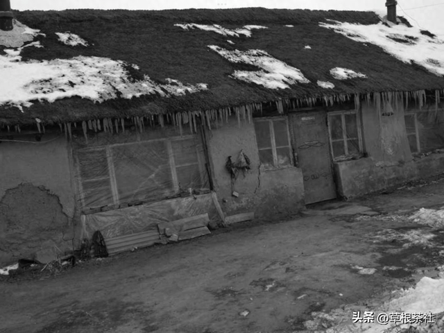 知青岁月：屯子里爱说粗话的二奎嫂子，是我们北京知青最暖心的人