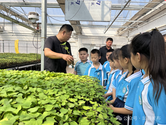 邱县：四大沉浸体验 共燃节日激情