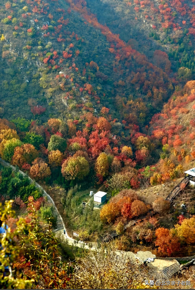 北京顺义舞彩浅山适老赏秋路线来啦