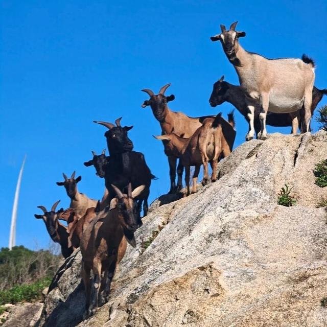 戒掉emo！来南日岛进行一次“精神离职”