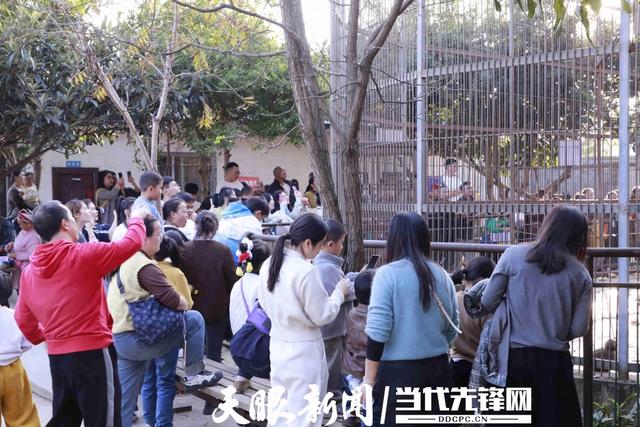 详细阅读:单日客流过万,凯里动物园创纪录! 单日客流过万,凯里动物园创纪录!