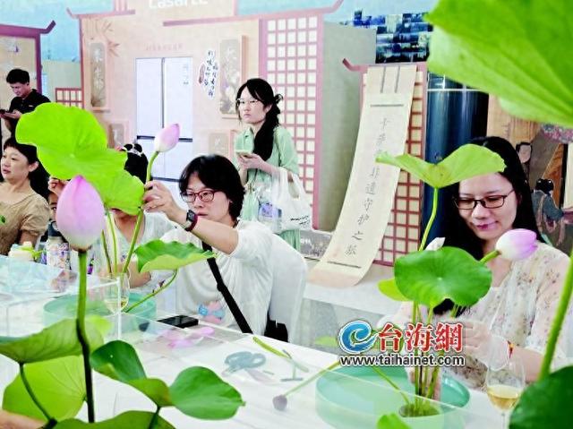 宋风消暑雅集亮相厦门市博物馆