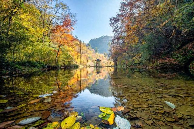 遇见最美红叶季！未来一周汉中红叶观赏预报抢先看~