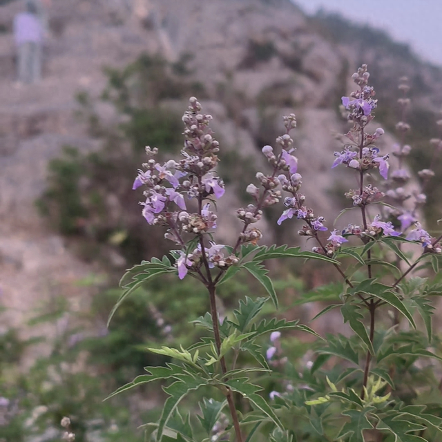 坚强的名言,坚强的名言介绍（30句关于坚持和毅力的名人名言有志者事竟成）