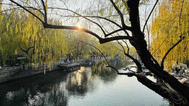 新视界｜济南护城河公园：清泉映垂柳 游客乐冬游