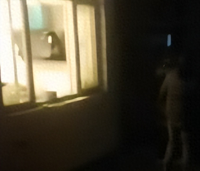 山西男子被狗咬伤后续：死者妹妹哭诉，律师发出质疑，实际不简单