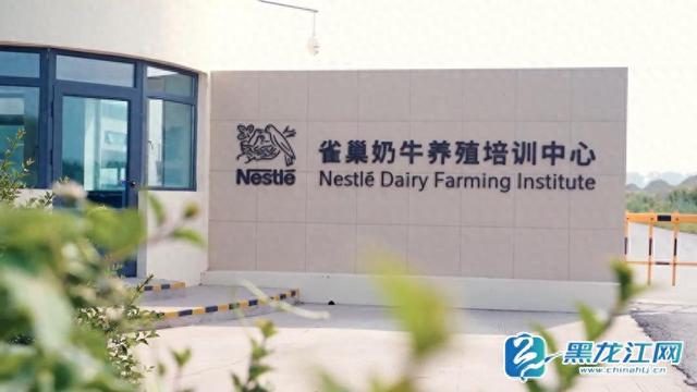 探秘雀巢DFI少年科学院：一站式研学胜地绽放独特魅力​
