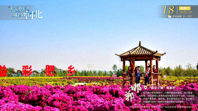 这么近那么美周末到河北 | 邯郸 · “菊花小镇”南赵村