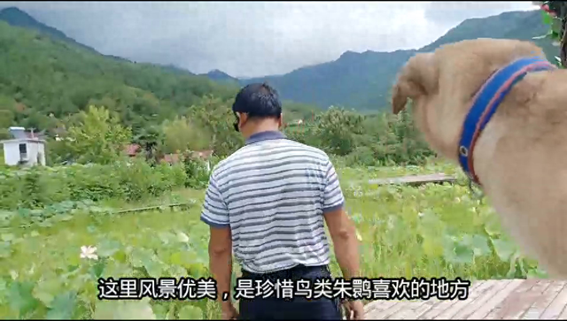 好美的地方，趁着稻花开荷花香千万莫错过，快来游玩