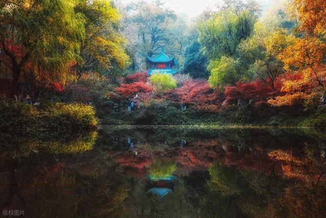 大爱！长沙岳麓山红枫如火，我却喜欢湘江边这2个免费枫叶大道