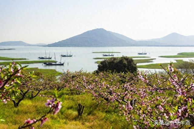 安徽省安庆市区及周边免费床车房车自驾露营地停车场