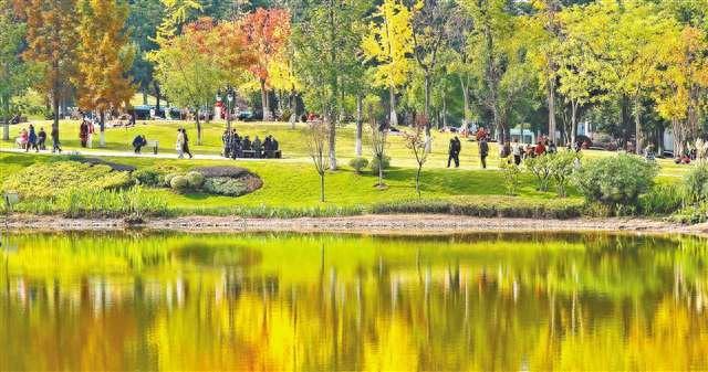 图片新闻｜尽享冬日暖阳