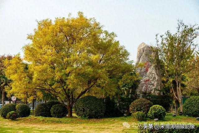 陕西渭南：天晴了 高新区时代广场秋色盎然
