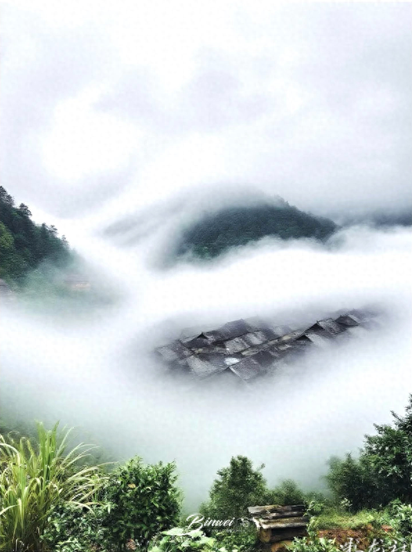 人类的普洱茶，世界的景迈山