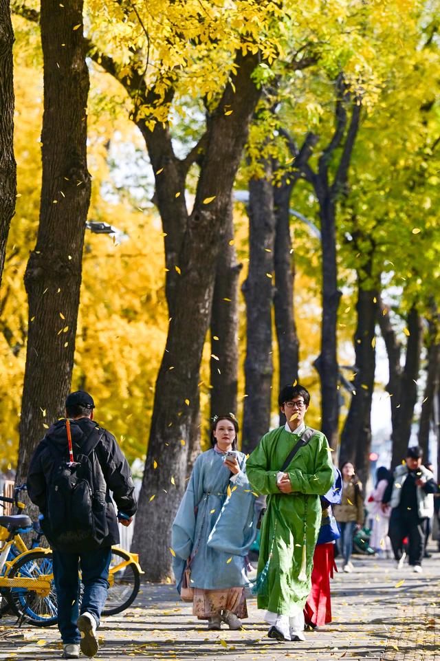 京城秋深韵悠长