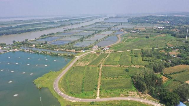 笔墨含情润运河 淮安精绘“百里画廊”