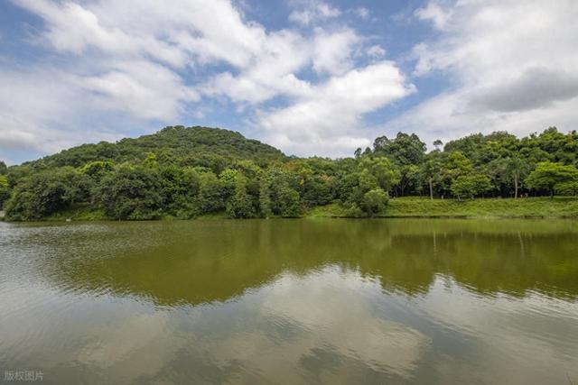 我在广州发现了个宝藏徒步地：龙头山森林公园轻徒步小记