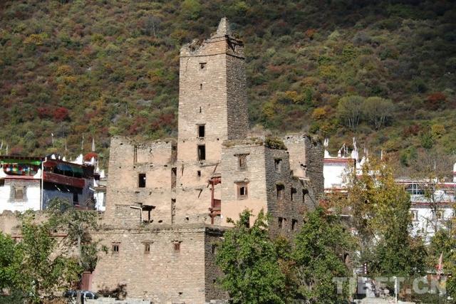 “大鹏翼”下的守望：一位守护者的百年博物馆