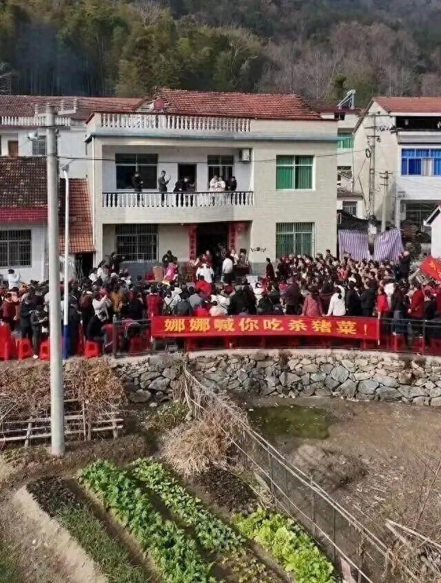 湖北娜娜家杀猪饭火了，村支书：近2000名游客参加，紧急追加一头约300斤年猪