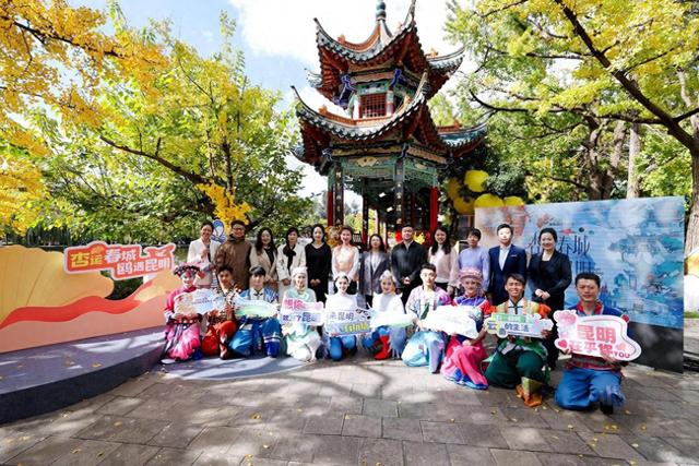 杏运春城，鸥遇昆明！昆明开启2025赏杏观鸥季