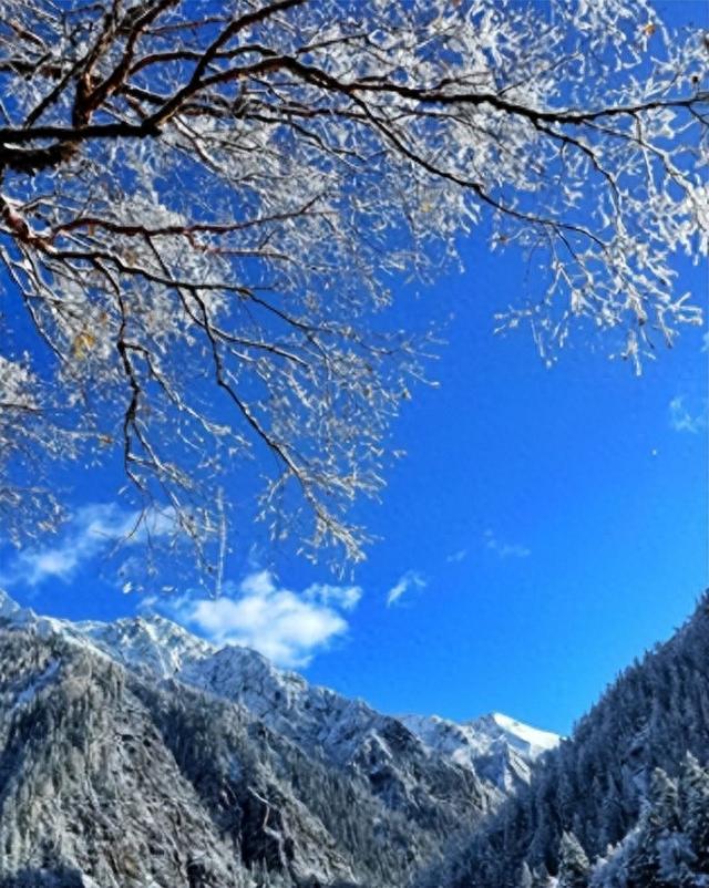 四川迎来降雪！九寨沟初雪后，宛如“仙境”！