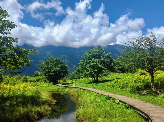 绿意+山林+森呼吸，在黑竹沟景区，慢享夏日山林趣～