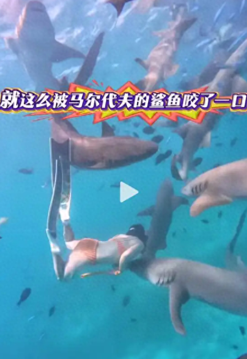 生理期潜水被鲨鱼咬伤，谁在助长“玩命出片”的疯狂？