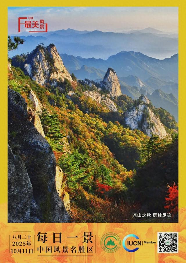 每日一景 | 尧山之秋 层林尽染