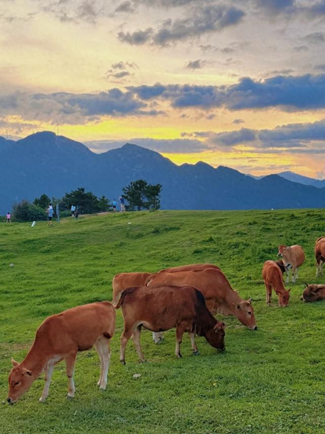 世界上只有安徽独有的15大奇景