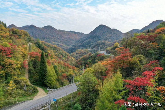 富民有道！鹤峰“美丽生态公路”激活全域旅游“金名片”