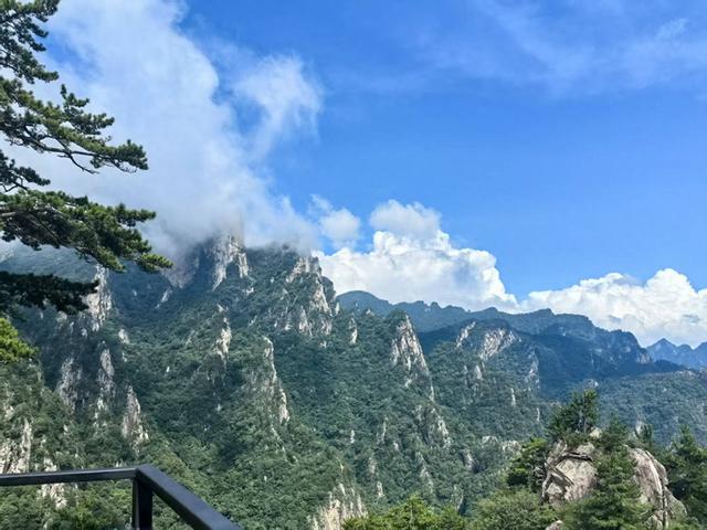 为期一周，南阳老界岭景区向全国游客免门票！
