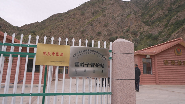 智守贺兰山：中电信无人科技星云平台重塑森林防护新格局