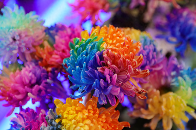 冬天来了，开封更好玩了！