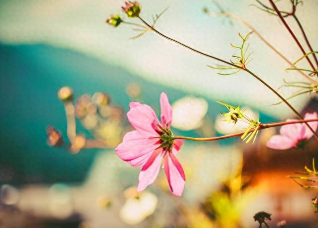 接触的人越多，就越会发现：认知层次越低的低层次人，越油盐不进