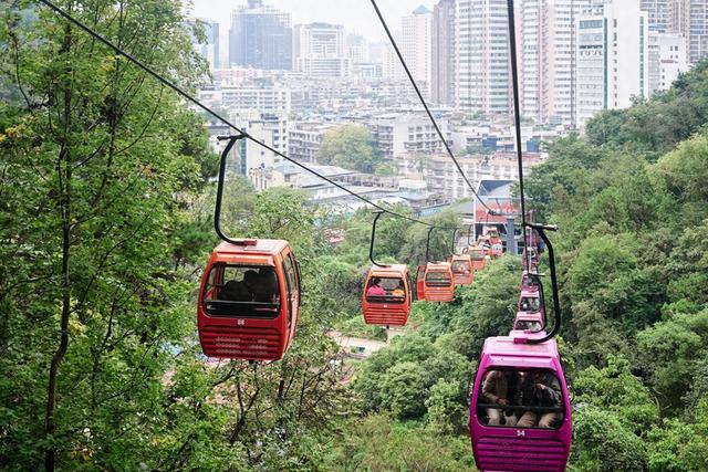 贵阳黔灵山公园，亲子游玩的好去处，这里有近距离撸猴的绝佳地点