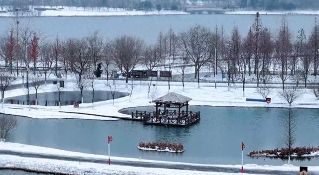 听雪落枝头，看松滋成画